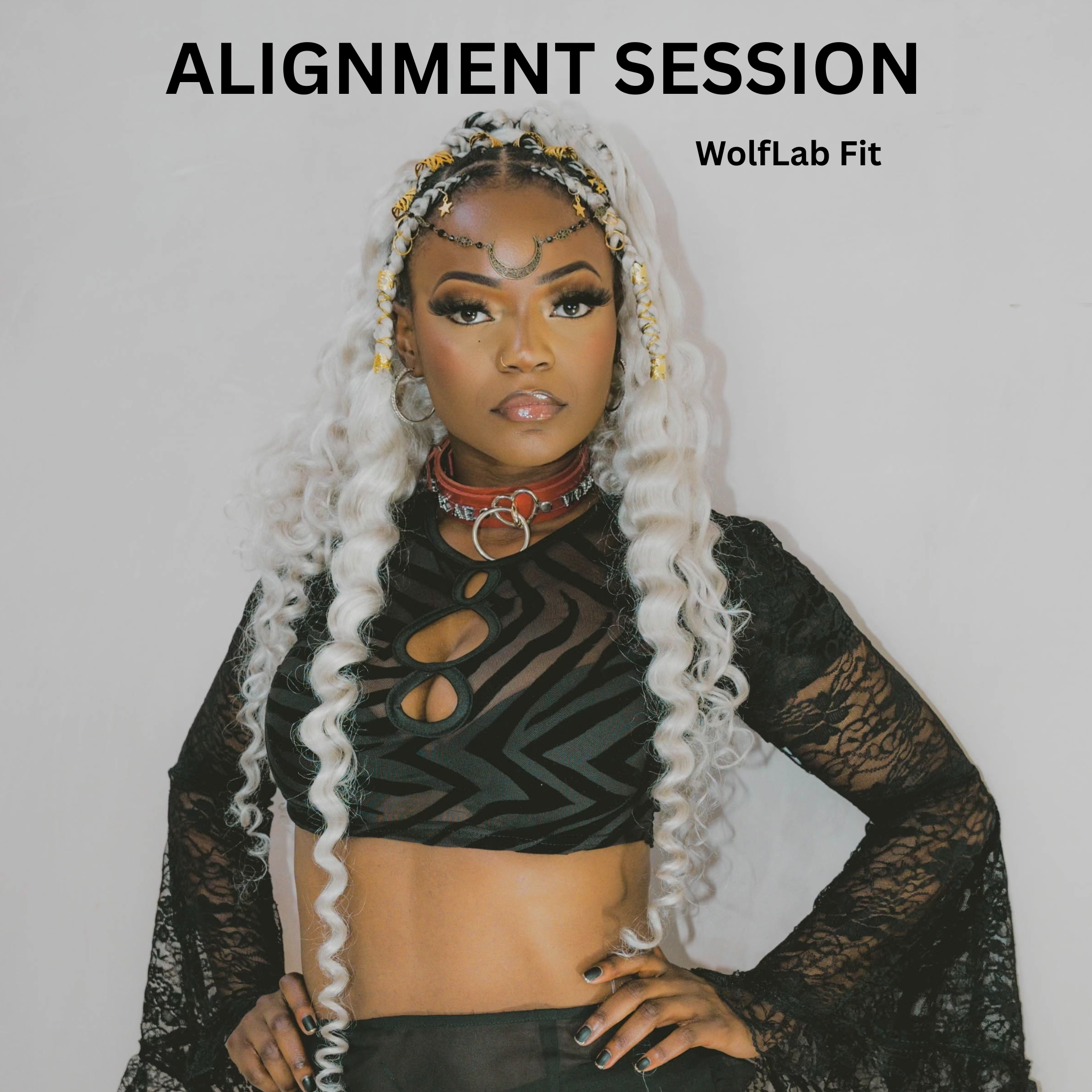 Alignment Session